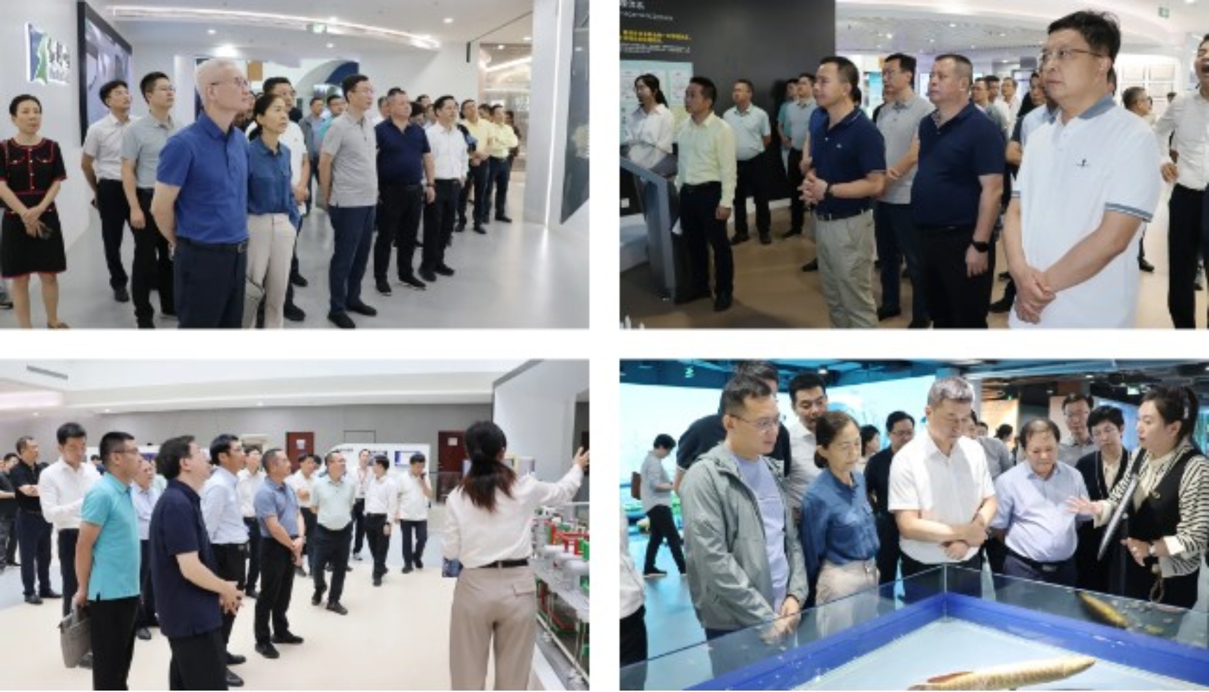 show_564500336_1726192828377